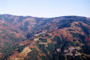 山々が緑やオレンジ色のモザイク模様に染まっている紅葉するモザイク林の写真
