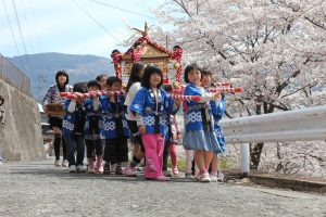 道路の右側に桜の花が満開に咲いており、青い法被を着た子ども達が、神輿を担ぎ歩いている写真