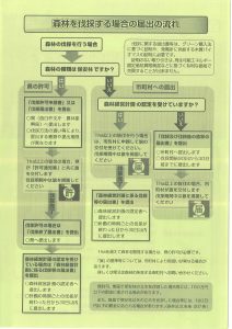 伐採届けについてのチラシ2枚目