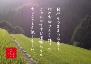 「自然そのままのお米と、村のお母さん手作りのごはんがすすむ相棒たちをちょこっとお試しあれ。ごはんと相棒たちちょこっとお試しセット」の文字の背景に山にある棚田に稲の葉が青々と育っている写真