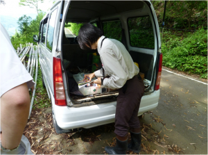 女性職員が白いバンのトランク部分で救急箱の中身を確認している写真