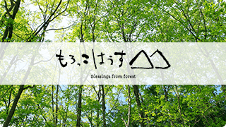 もろっこはうす Blessings from forest